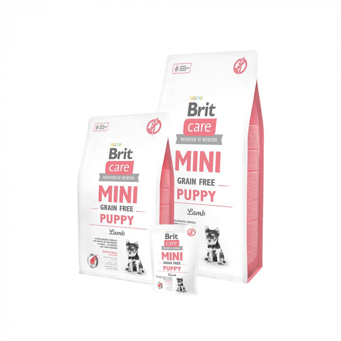 Brit Care Mini Grain Free Puppy cu Miel 7kg [1]