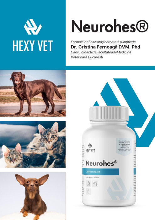 NeuroHes pentru câini și pisici – Supliment neurologic veterinar pentru susținerea sistemului nervos [4]