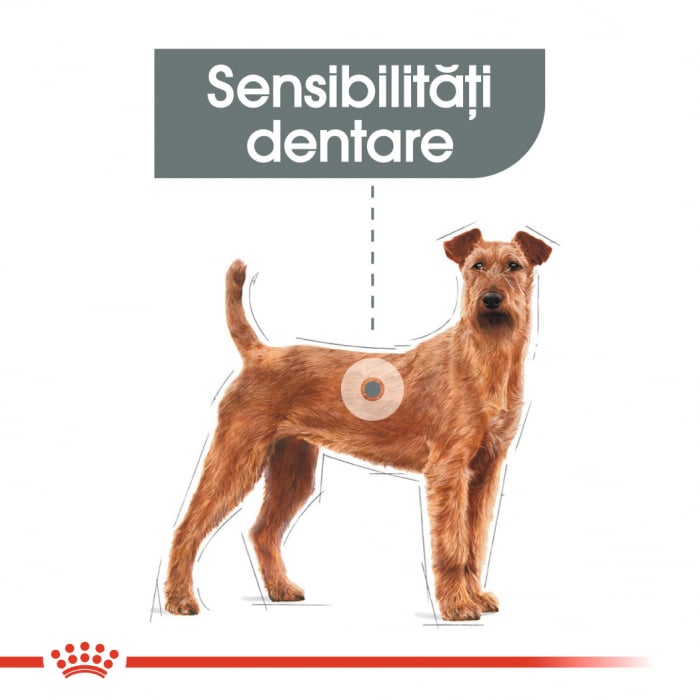 Royal Canin Medium Dental Care Adult hrana uscata caine reducerea formarii tartrului, 10 kg [2]
