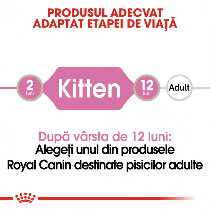 Royal Canin Kitten In Loaf hrana umeda pate pentru pisica, 12 x 85 g [2]