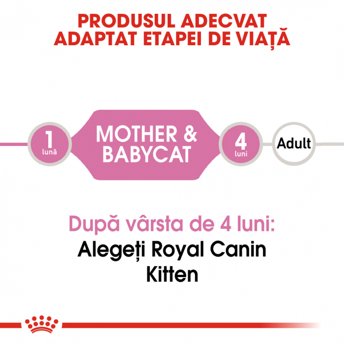 20 x Royal Canin Mother & BabyCat hrana umeda pisica mama si puii pana la 4 luni, 195 g [3]