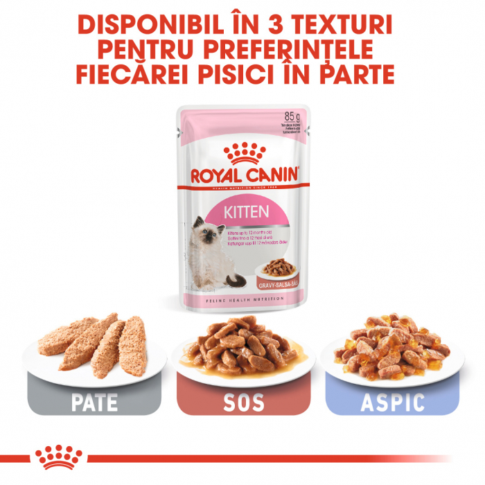 Royal Canin Kitten Instinctive In Gravy hrana umeda in sos pentru pisica, 12 x 85 g [6]