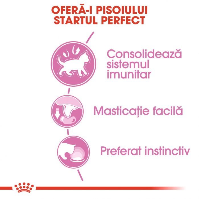 Royal Canin Kitten In Loaf hrana umeda pate pentru pisica, 12 x 85 g [3]