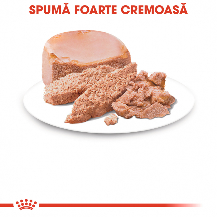 Royal Canin Mother & BabyCat hrana umeda pisica mama si puii pana la 4 luni, 195 g [5]