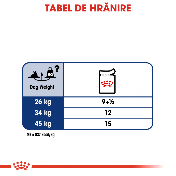 Royal Canin Maxi Ageing hrana umeda caine senior, 10 x 140 g [6]