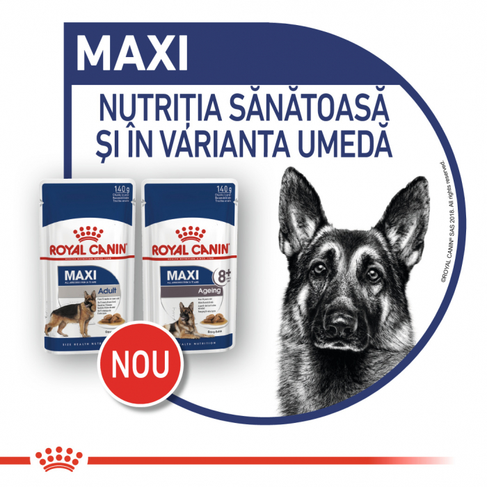 Royal Canin Maxi Ageing hrana umeda caine senior, 10 x 140 g [2]