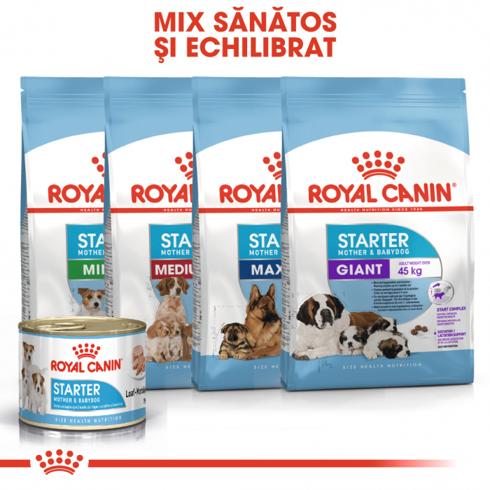 Royal Canin Starter Mouse gestatie/ lactatie pui hrana umeda caine, 195 g [5]