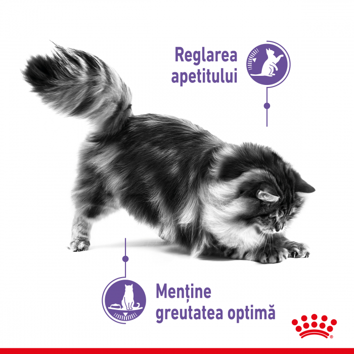 Royal Canin Appetite Control Care, hrana uscata pisici, adult sterilizat, reglarea apetitului, 10kg [2]