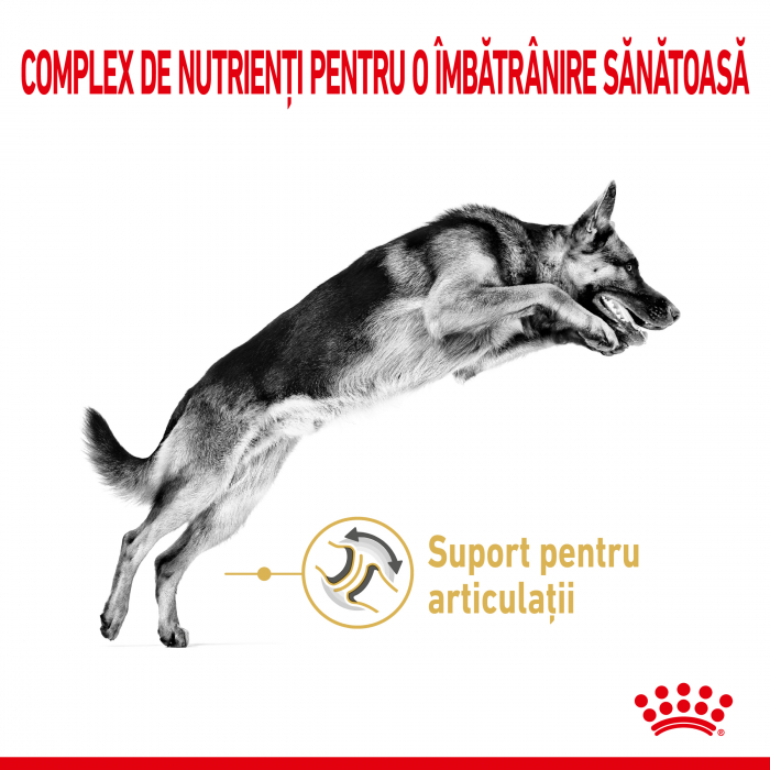 Royal Canin German Shepherd Adult 5+  hrana uscata caine senior Ciobanesc German, 12 kg [2]