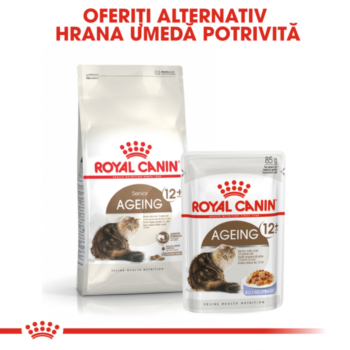 Royal Canin Ageing 12 + hrana uscata pisica senior, 400 g [6]