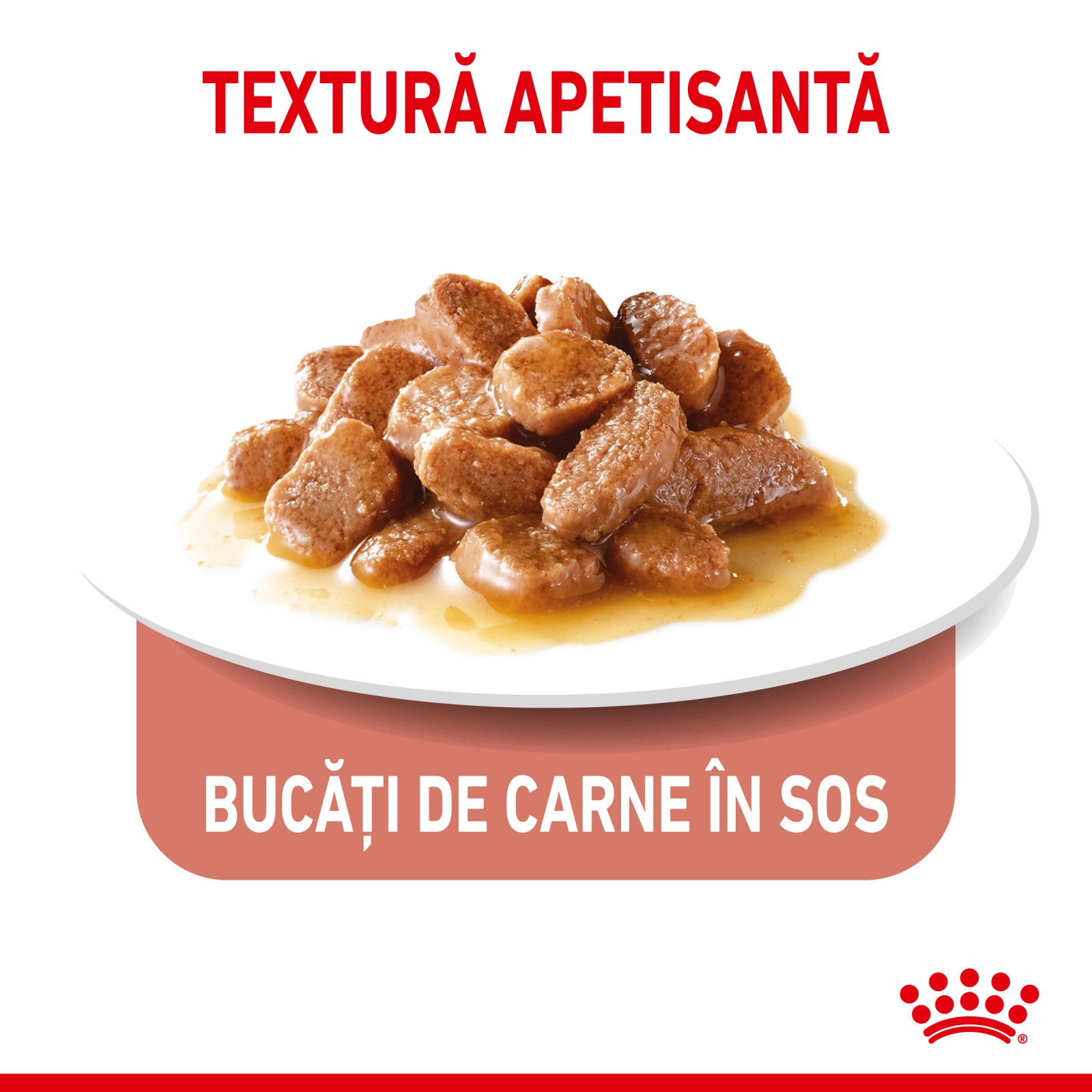 Royal Canin Appetite Control Care, hrana umeda pisici, adult sterilizat, reglarea apetitului, (in sos), 85g x 12 [8]