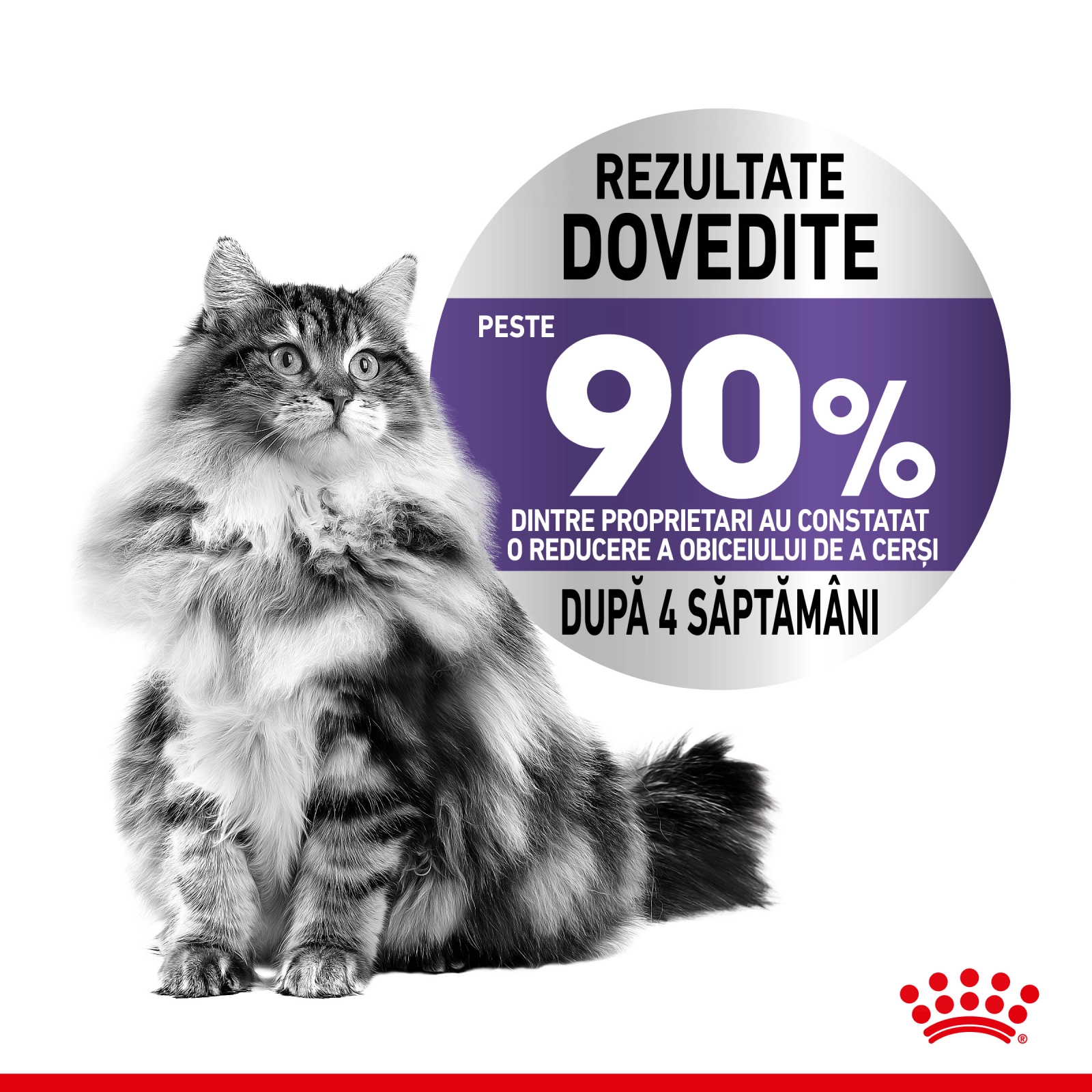 Royal Canin Appetite Control Care, hrana umeda pisici, adult sterilizat, reglarea apetitului, (in sos), 85g x 12 [5]