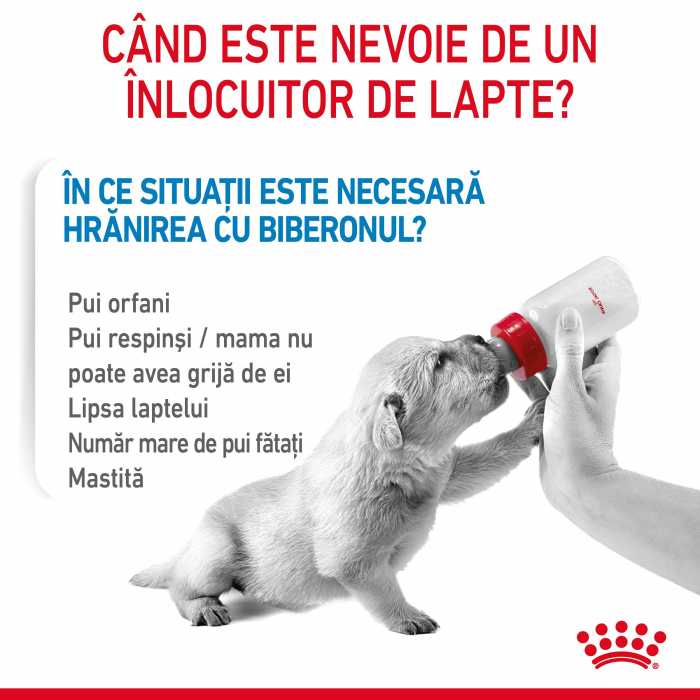 400g Royal Canin Babydog Milk inlocuitor lapte matern caine [8]