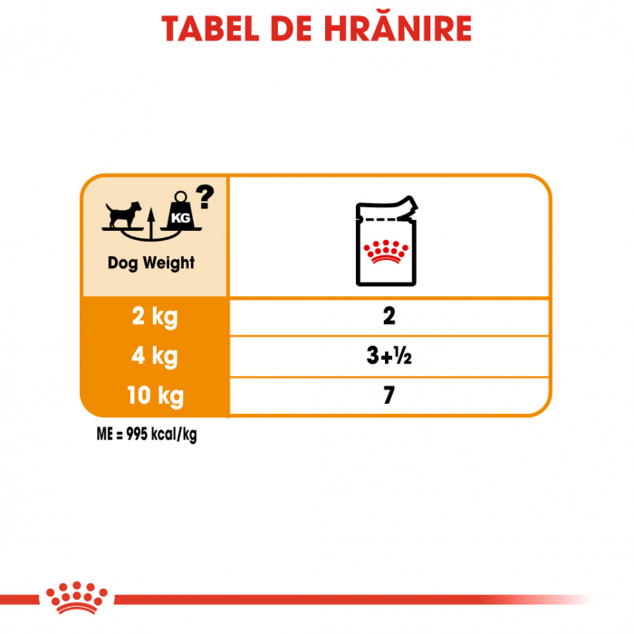 12 x 85g Royal Canin Coat Care Adult hrana umeda caine pentru blana sanatoasa si lucioasa [7]