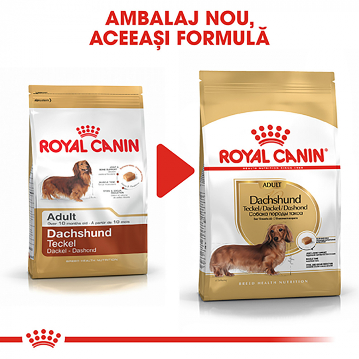1.5 kg Royal Canin Dachshund Adult hrana uscata caine Teckel [7]