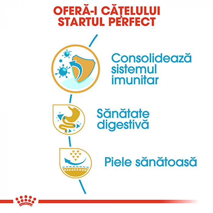 3 kg Royal Canin French Bulldog Puppy hrana uscata caine junior [6]