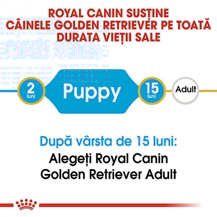 12 kg Royal Canin Golden Retriever Puppy hrana uscata caine junior [4]