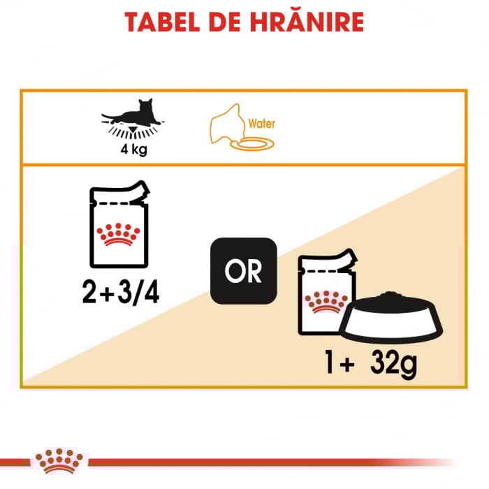 Royal Canin Intense Beauty Care Adult hrana umeda in aspic pisica pentru piele si blana sanatoase, 12 x 85 g [5]