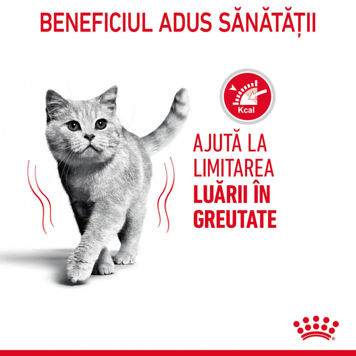 Royal Canin Light Weight Care Adult hrana umeda in sos pisica pentru limitarea cresterii in greutate, 12 x 85 g [5]
