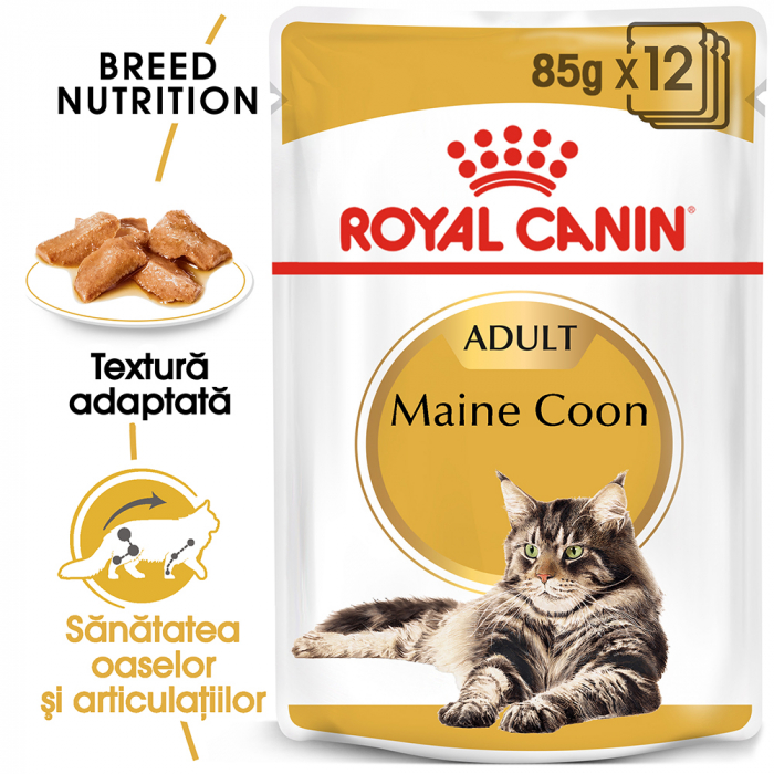 Royal Canin Maine Coon Adult hrana umeda pisica, 12 x 85 g [8]