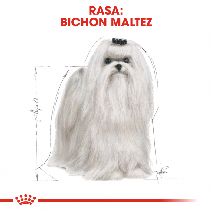 Royal Canin Maltese Adult hrana uscata caine, 500 g [2]