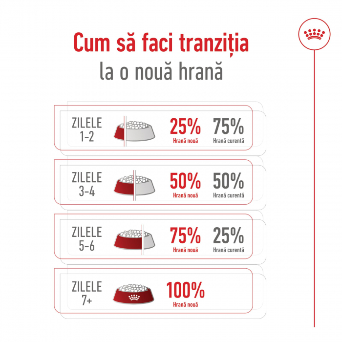 4kg Royal Canin Maxi 5+ Adult hrana uscata caine intre 5 si 8 ani [11]