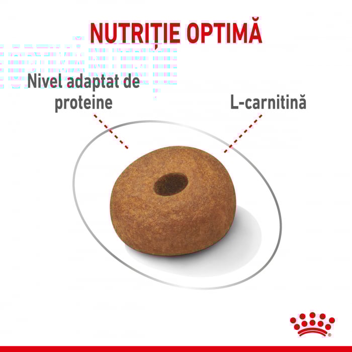 Royal Canin Maxi Light Weight Care Adult hrana uscata caine pentru limitarea cresterii in greutate, 12 kg [6]