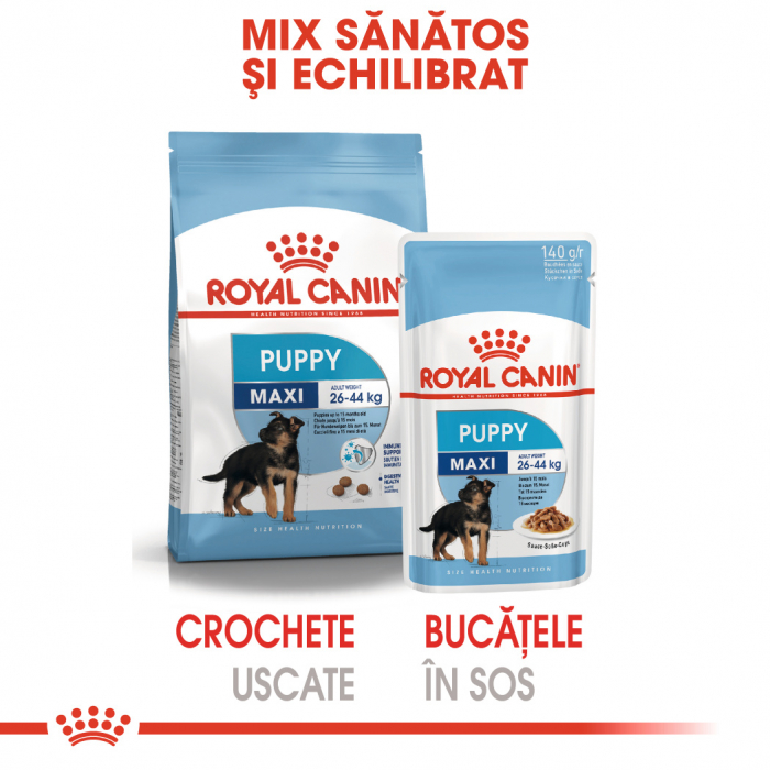 10 x 140g Royal Canin Maxi Puppy hrana umeda caine junior [6]