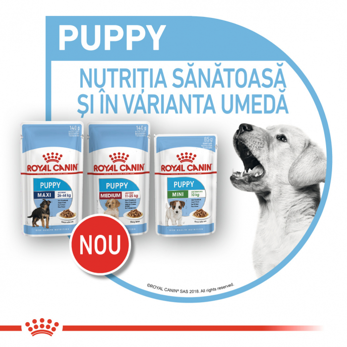 10 x 140g Royal Canin Maxi Puppy hrana umeda caine junior [9]