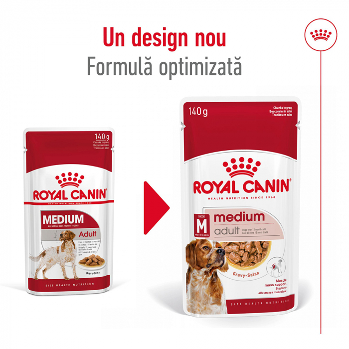 10 x 140g Royal Canin Medium Adult hrana umeda caine [7]