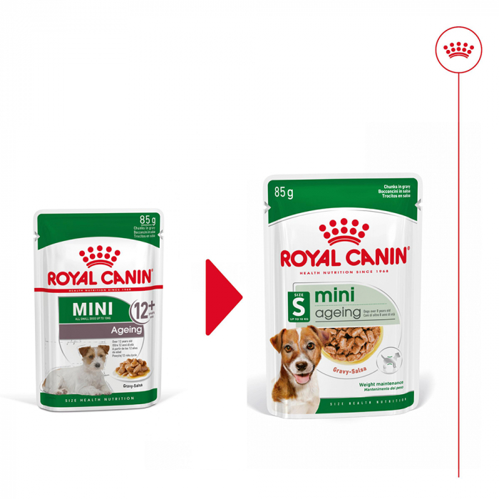 12 x 85g Royal Canin Mini Ageing 12+  hrana umeda caine senior [7]