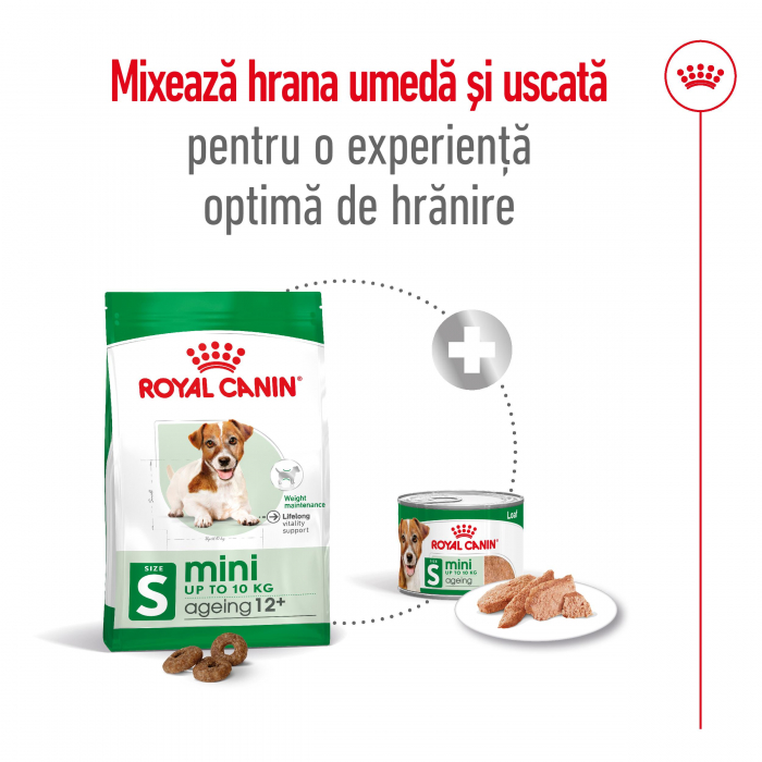 1.5 kg Royal Canin Mini Ageing 12+ hrana uscata caine senior [7]