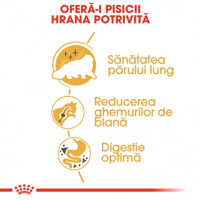 10kg Royal Canin Persian Adult hrana uscata pisica [5]