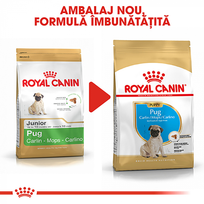 1.5kg Royal Canin Pug Puppy hrana uscata caine junior [9]