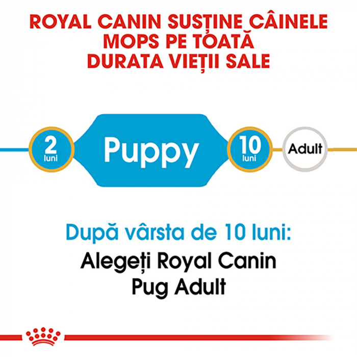 1.5kg Royal Canin Pug Puppy hrana uscata caine junior [4]
