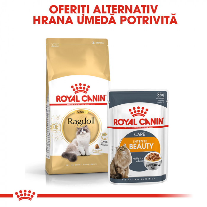 2kg ROYAL CANIN Ragdoll adult Hrana pisici rasa Ragdoll [6]