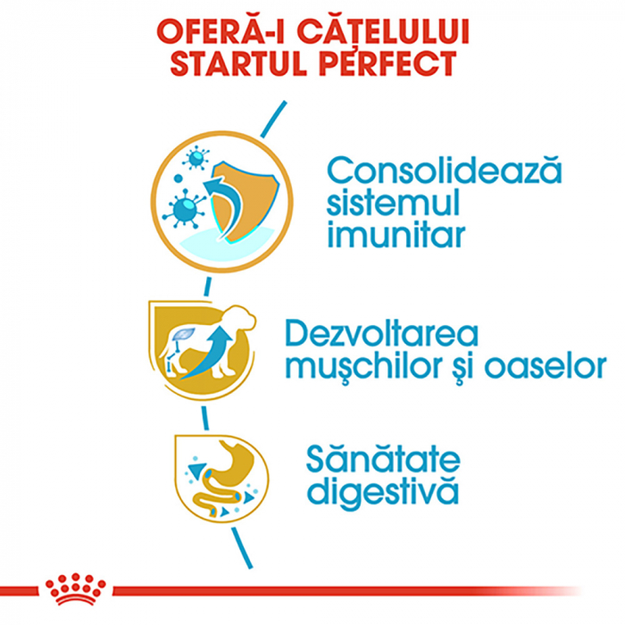 12 kg Royal Canin Rottweiler Puppy hrana uscata caine junior [6]