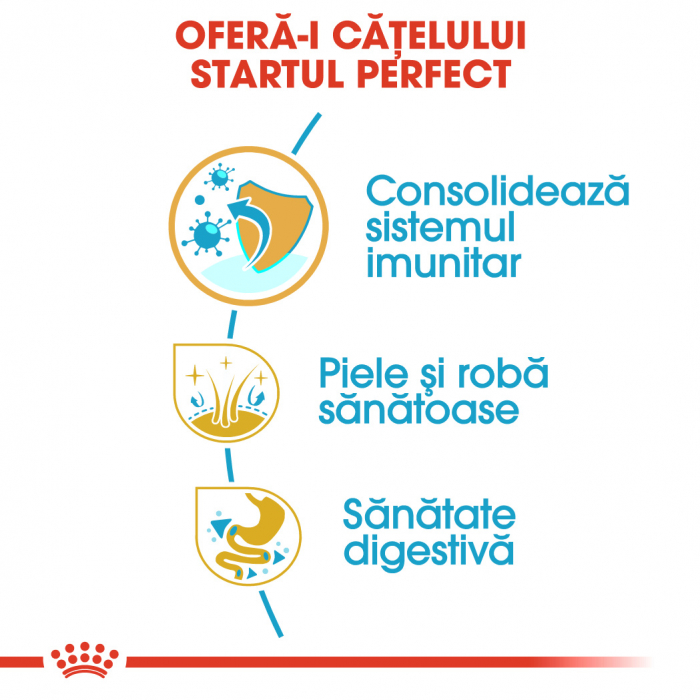 1.5 kg Royal Canin Shih Tzu Puppy hrana uscata caine junior [6]
