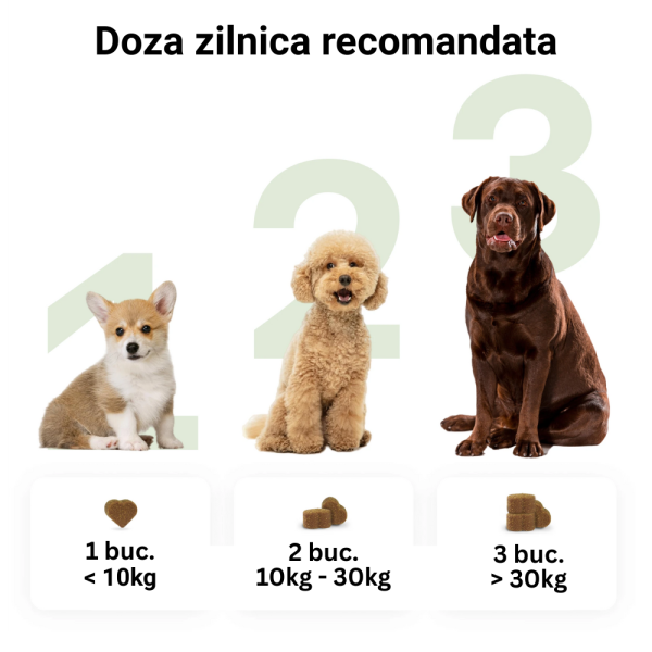 Tipaw Calming Supplement–Supliment calmant pentru câini stresați și anxioși, 60 de comprimate masticabile moi, Soft chews pentru reducerea stresului, anxietății și comportamentelor nedorite la câini [4]