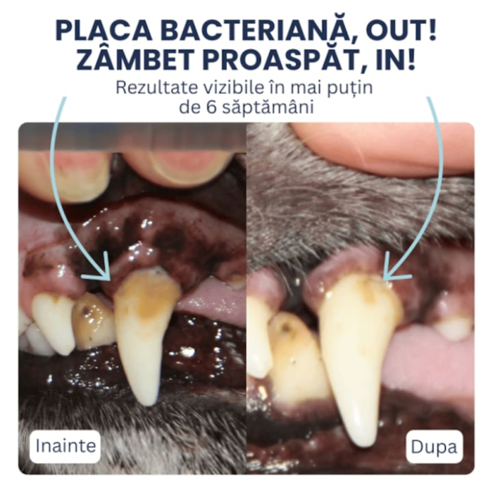 Tipaw Dental Care Powder – Pudră pentru igienă dentară la câini, Supliment pulbere pentru reducerea plăcii bacteriene, tartrului și respirației neplăcute la câini, 120 gr [4]