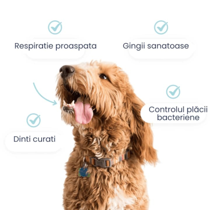 Tipaw Dental Care Powder – Pudră pentru igienă dentară la câini, Supliment pulbere pentru reducerea plăcii bacteriene, tartrului și respirației neplăcute la câini, 120 gr [3]