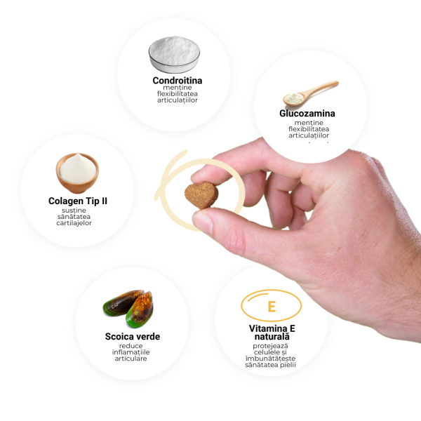 Tipaw Hip & Joint pentru câini – Supliment articulații cu glucozamină și MSM, 60 comprimate masticabile moi [3]