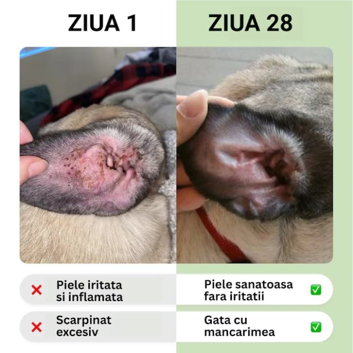 Tipaw – Scapă de mâncărimi! Supliment pentru câini cu probleme de piele, 60 de comprimate masticabile moi [2]