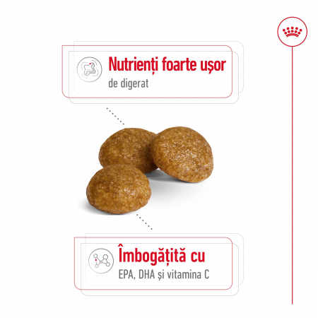 1.5 kg Royal Canin X-Small Adult hrana uscata caine [2]