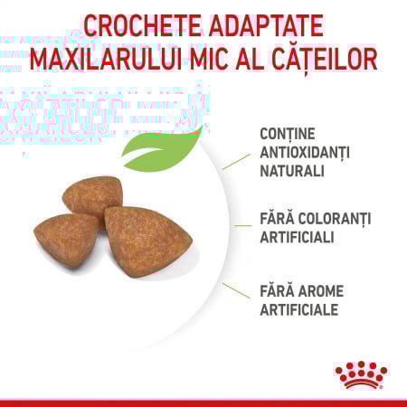 500g Royal Canin X-Small Puppy hrana uscata caine junior [5]