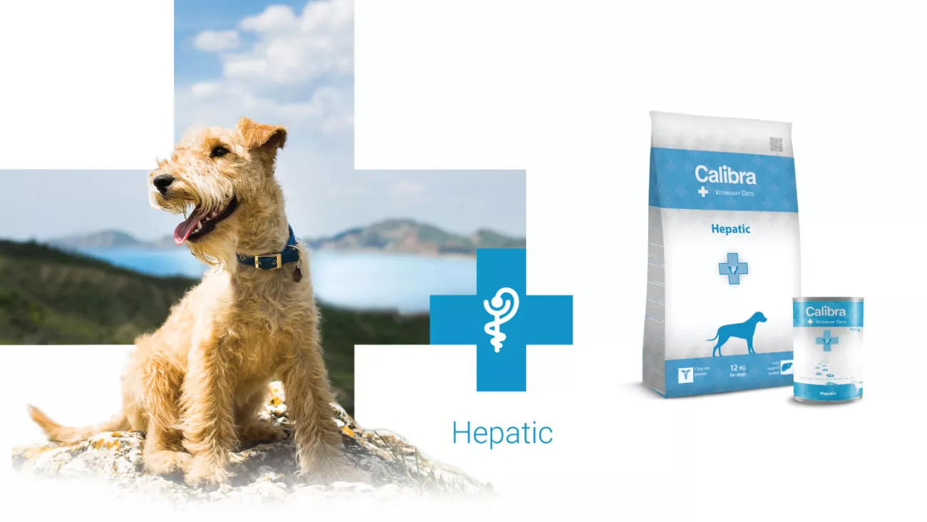 Calibra VD Hepatic Dog conserva 400g - probleme hepatice [1]