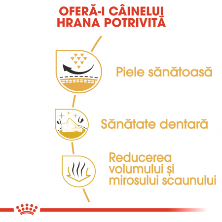 3 kg Royal Canin Shih Tzu Adult hrana uscata caine [5]