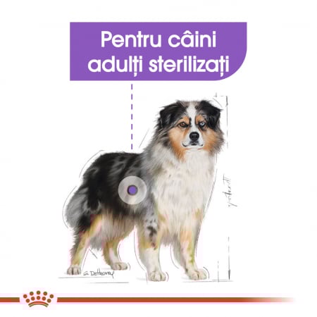 3kg Royal Canin Medium Sterilised Adult hrana uscata caine sterilizat [4]