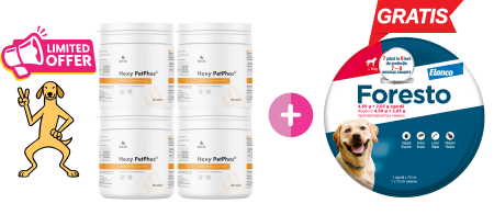 VITAMINE ȘI SUPLIMENTE - 4 x HEXY PET PHOS 60 tablete