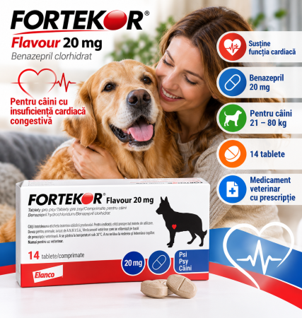 NUTRACEUTICE - Fortekor Flavour Dog 20 mg 21–80 kg, 14 tablete – Benazepril pentru câini